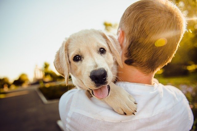 A boy holds a smiling puppy | Photo: Pixabay