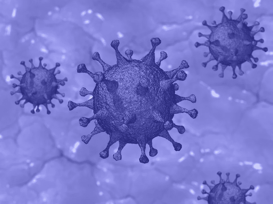 A diagrammatic representation of the COVID-19 virus | Photo: Pixabay