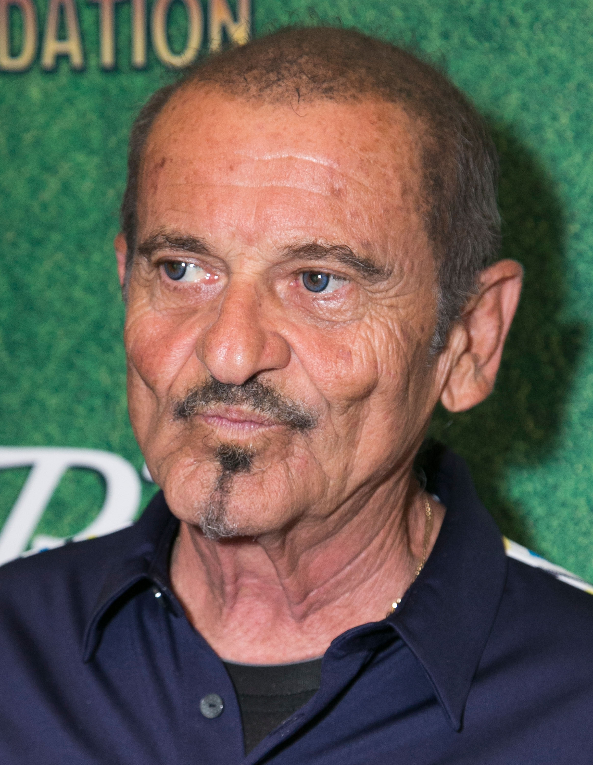 Joe Pesci attends the George Lopez Celebrity Golf Classic gift lounge 2014 at Lakeside Golf Club on May 5, 2014 in Burbank, California | Source: Getty Images