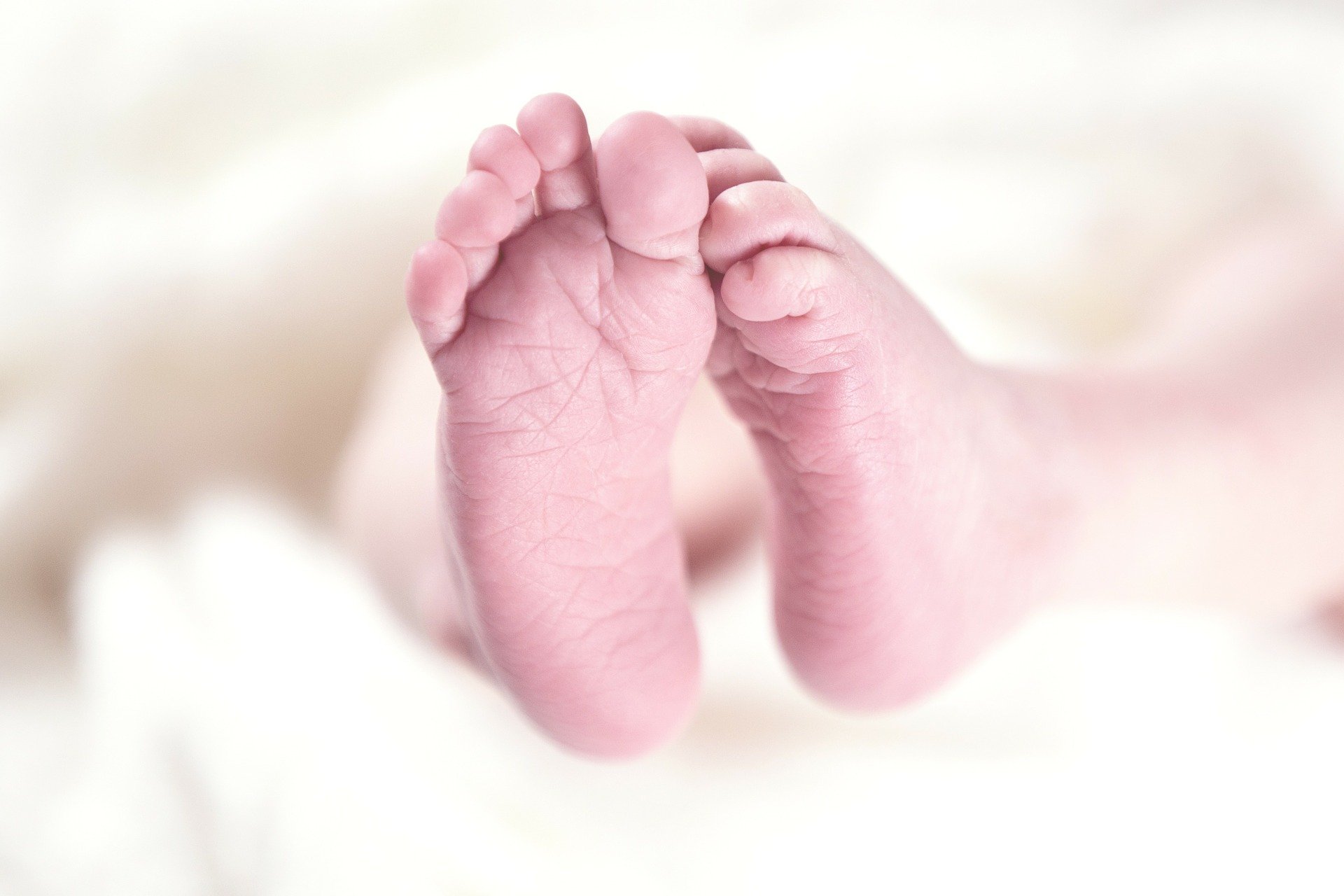 Des petits orteils de bébé | Source : Pixabay Des petits orteils de bébé | Source : Pixabay