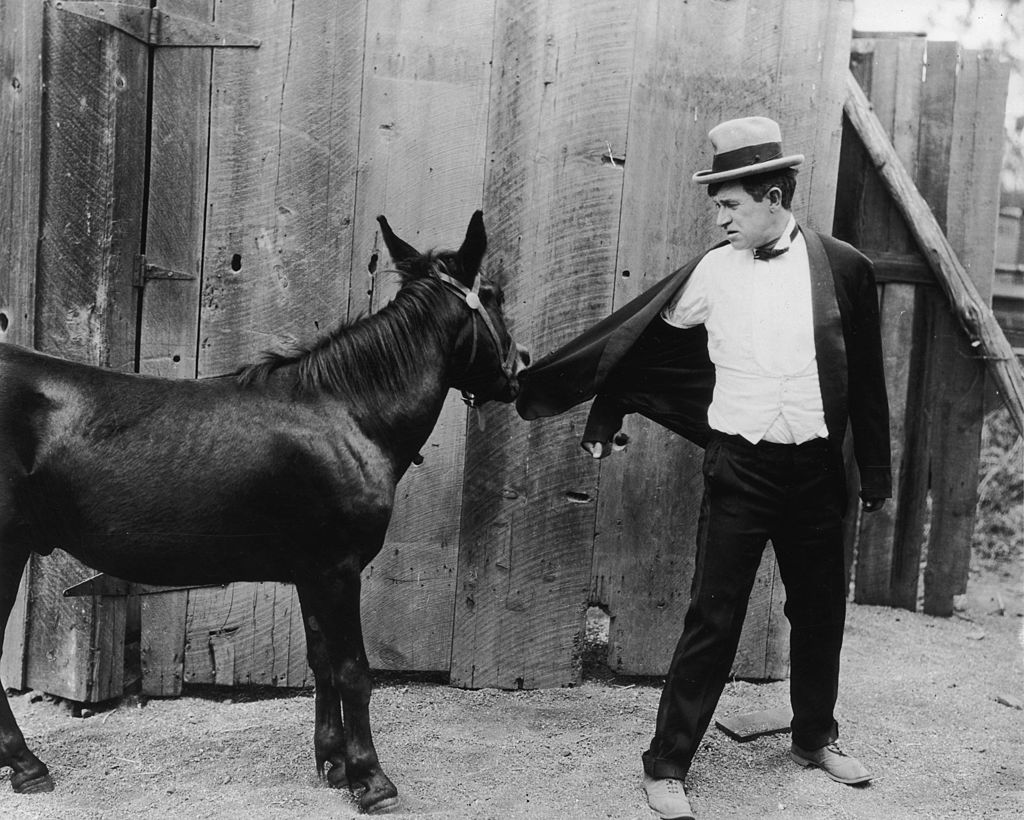 Will Rogers (1879-1935) looks behind as a mule bites his jacket in an unidentified film still | Photo: Getty Images