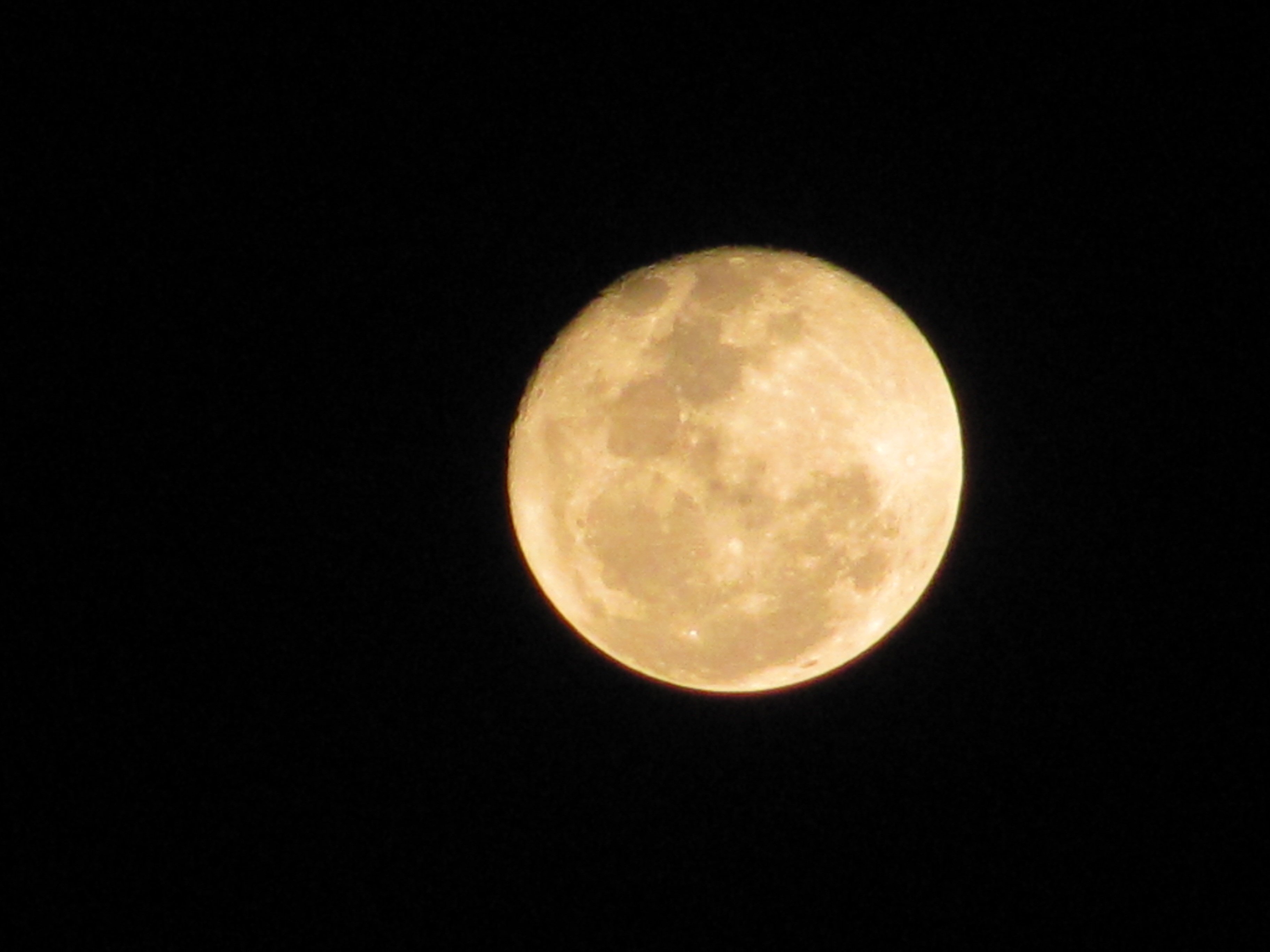 Luna Llena. . | Imagen: Wikimedia Commons Luna Llena. . | Imagen: Wikimedia Commons