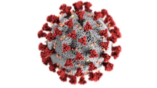 Le coronavirus. | Photo : Unsplash Le coronavirus. | Photo : Unsplash