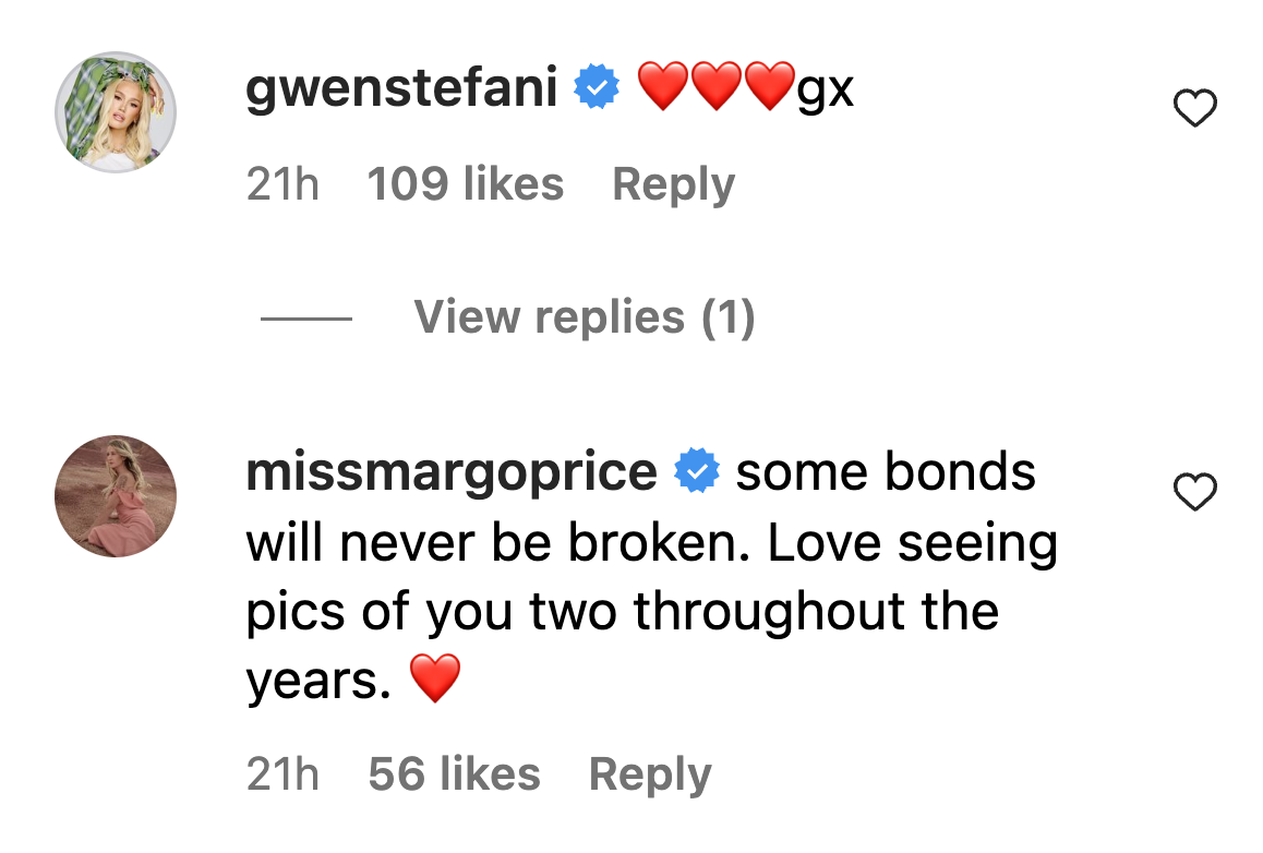 Comments on Stevie Nicks' post | Source: Instagram/stevienicks