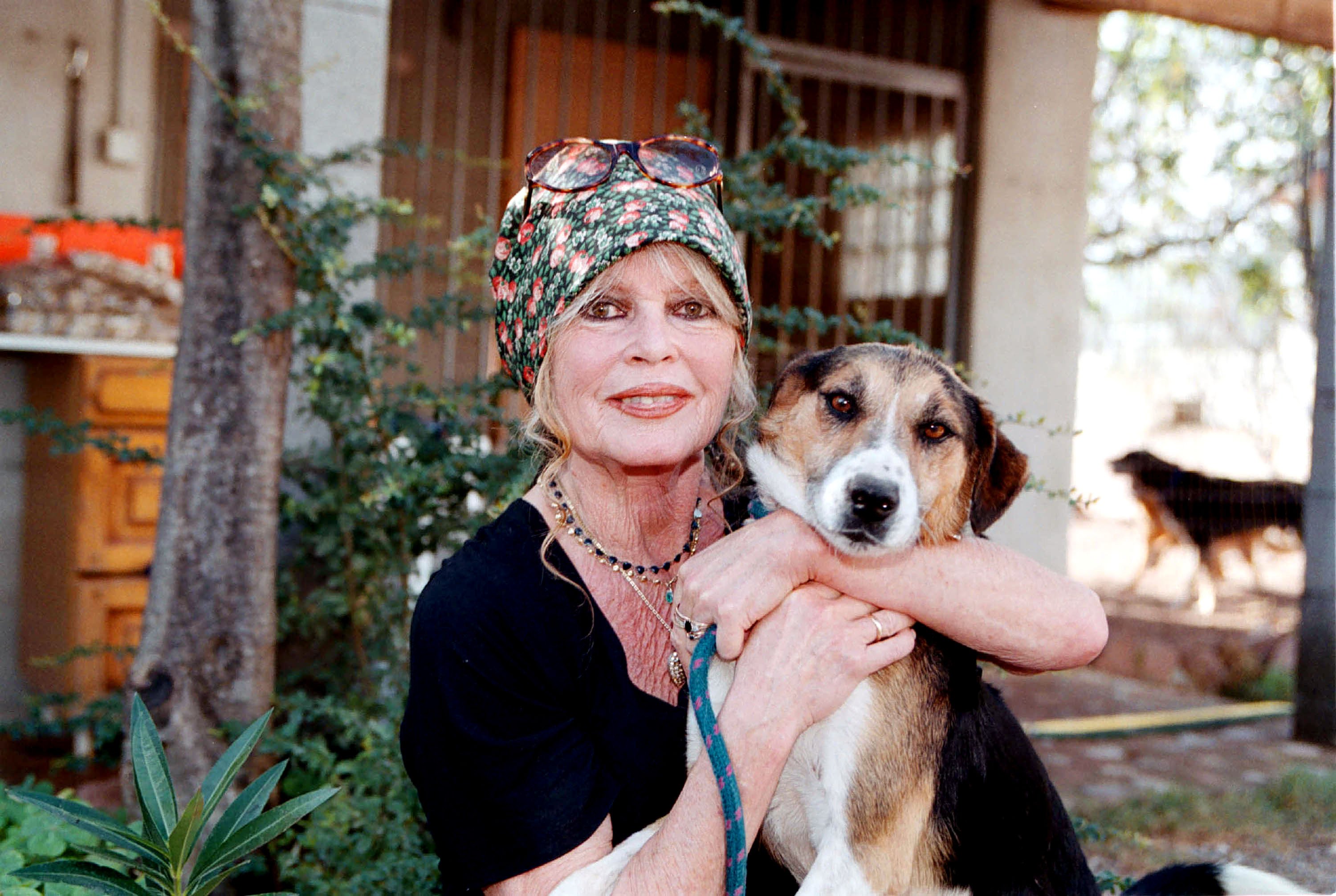 Die Tierschützerin Brigitte Bardot besucht am 7. Oktober 2001 ihr Hunderefugium "The Nice Dogs" von Carnoules in Paris, Frankreich. | Quelle: Getty Images