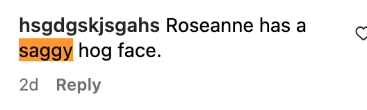 A fan comments on Roseanne Barr's looks on her Instagram post | Source: Instagram/@officialroseannebarr