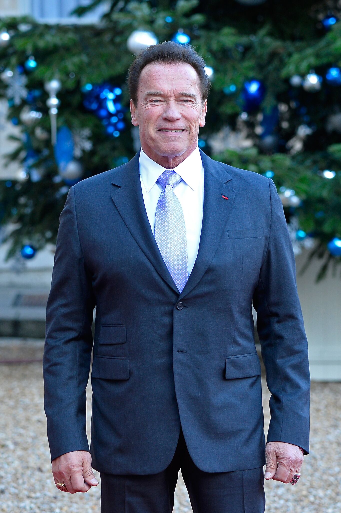 Arnold Schwarzenegger arrives for a meeting with French President Emmanuel Macron | Getty Images