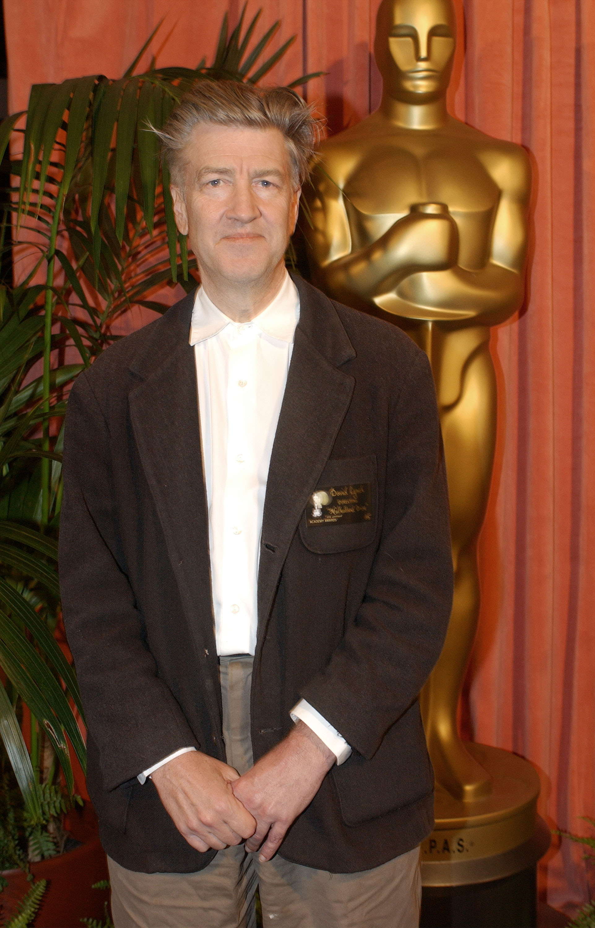 David Lynch at the 74th Annual Academy Awards Nominees Luncheon on March 11, 2002. | Source: Getty Images