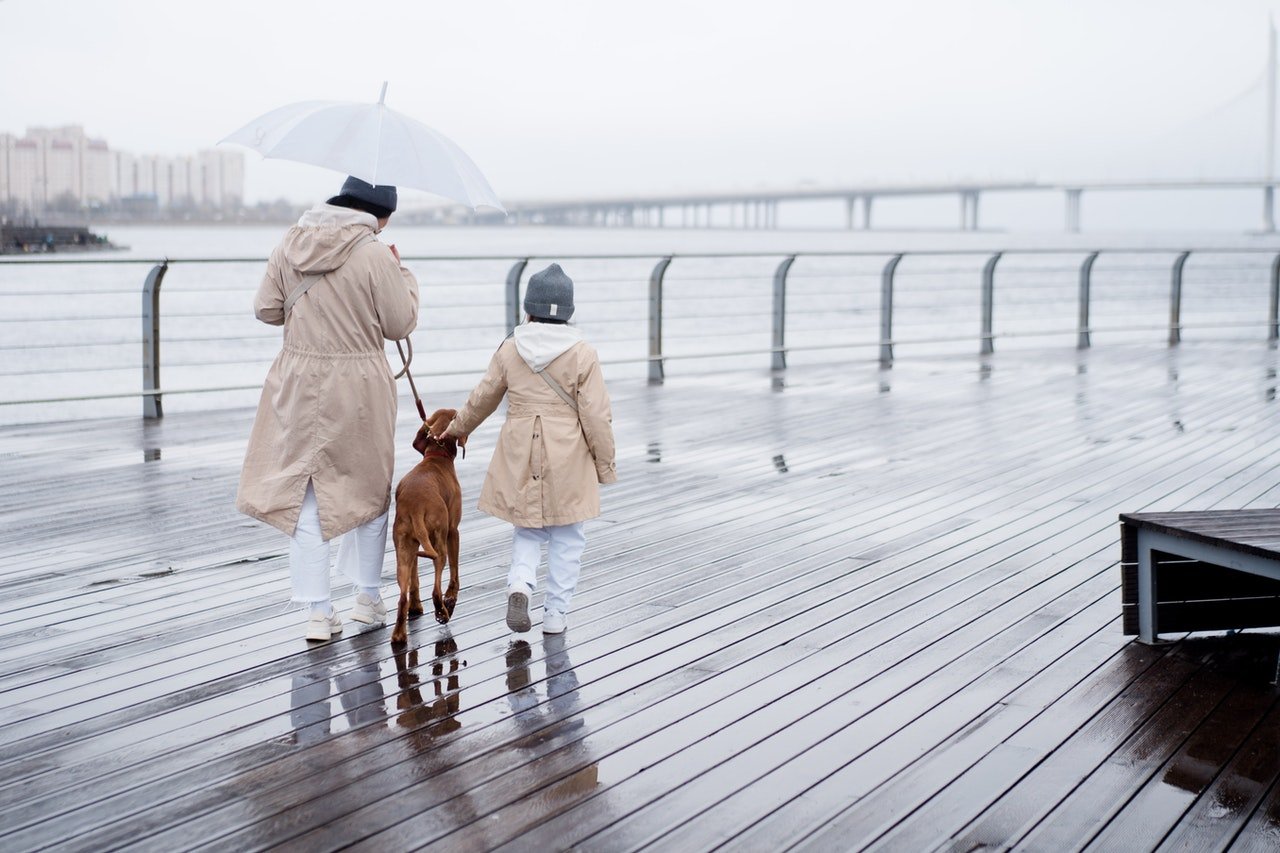 Familia paseando a su perro. | Foto: Pexels