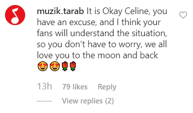 Screenshot of an Instagram comment | Photo: Instagram/@CelineDion
