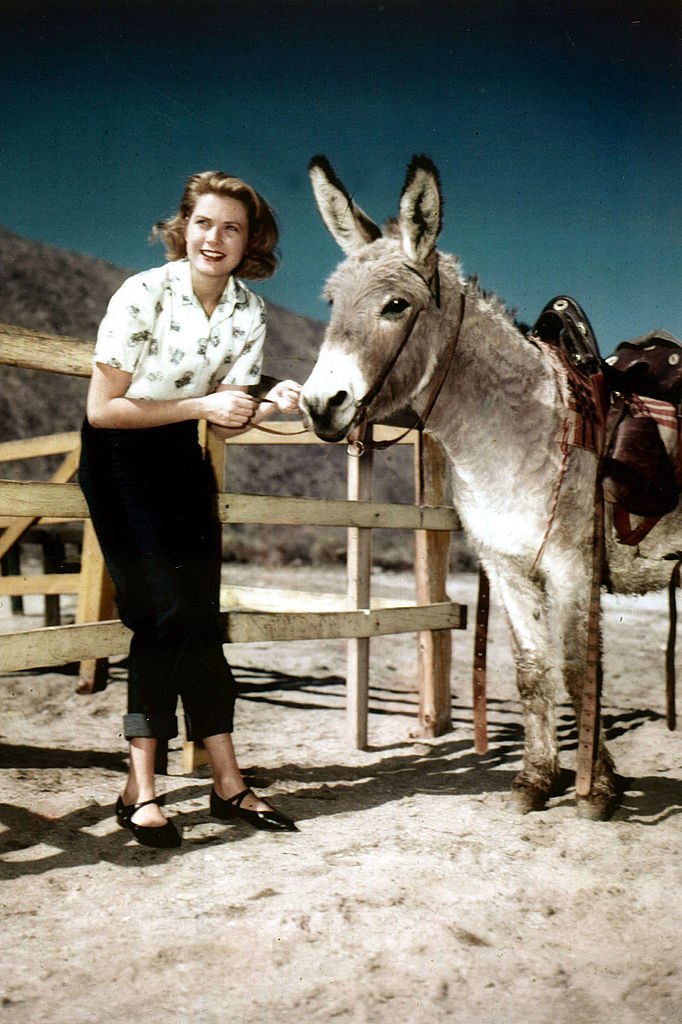 Amerikanische Schauspielerin Grace Kelly und ein Esel | Quelle: Getty Images