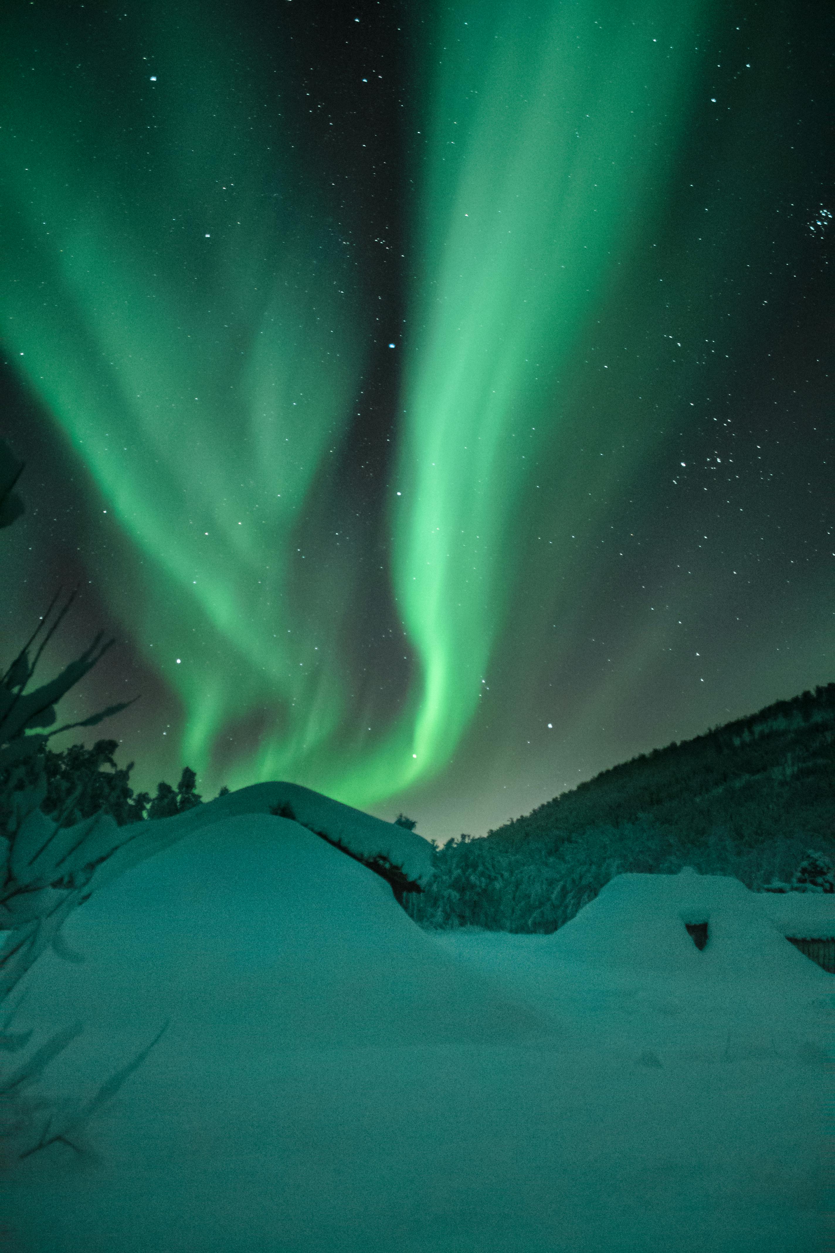 The northern lights | Source: Pexels