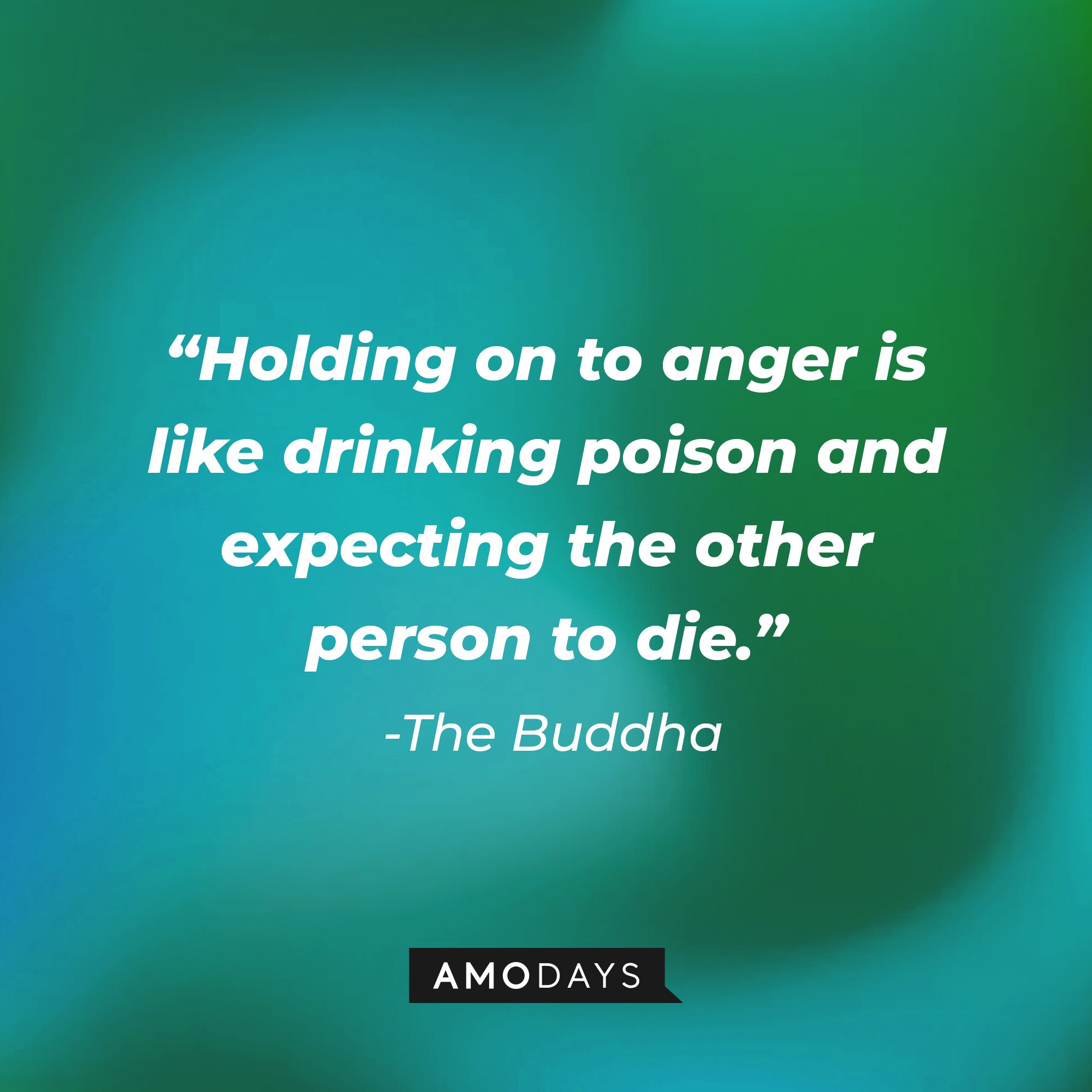 The Buddahs quote: “Holding on to anger is like drinking poison and expecting the other person to die." | Image: AmoDays
