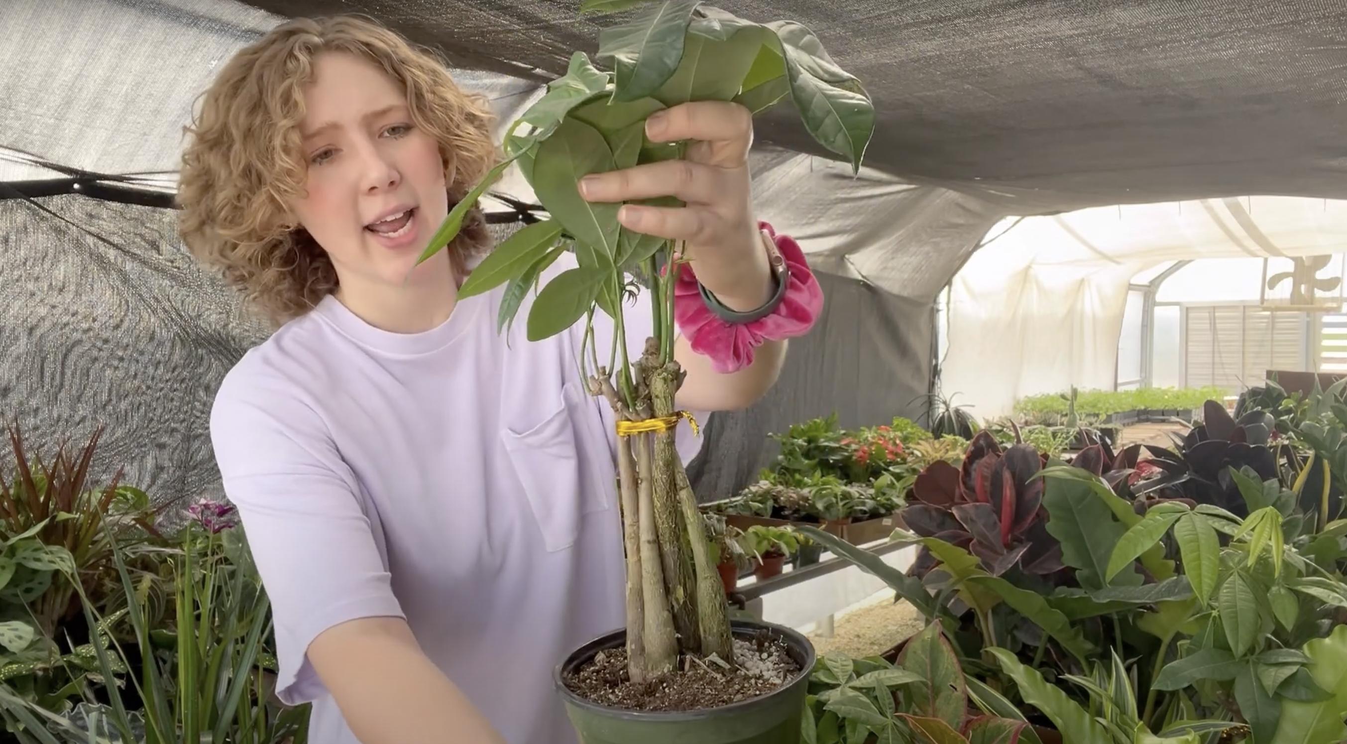 A woman holding a money tree | Source: YouTube/Renata's Garden