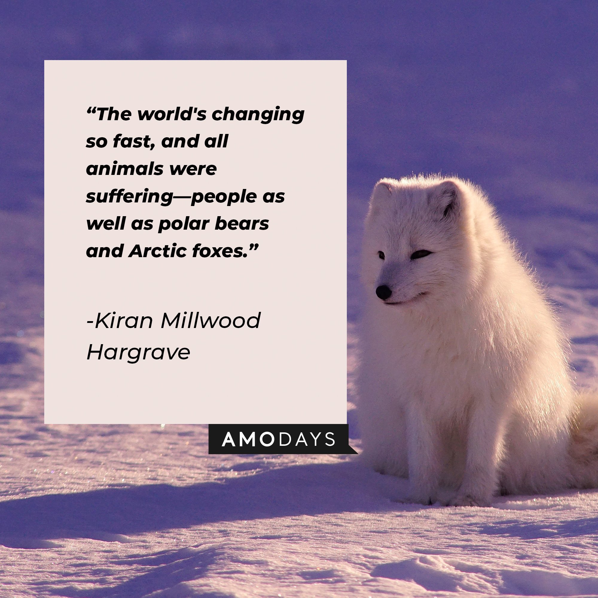 Kiran Millwood Hargrave’s quote: “The world's changing so fast, and all animals were suffering—people as well as polar bears and Arctic foxes.”| Image: AmoDays 