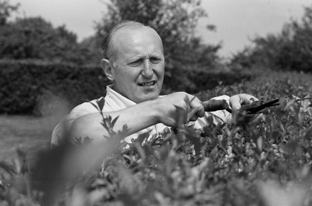 Bourvil taillant une haie  | photo: Getty Images