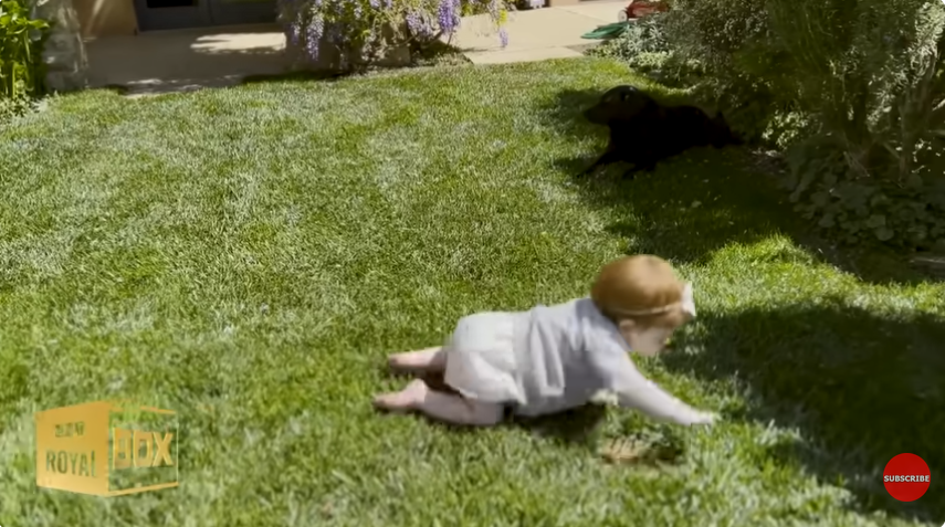 Princess Lilibet, from a post dated December 15, 2022 | Source: Youtube/@LMT