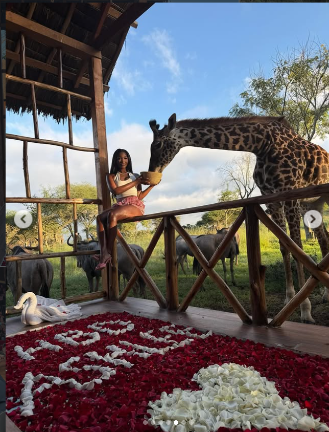 Perched on a rustic deck, Ashly Robinson feeds a giraffe at arm’s length as golden light, roaming wildlife, and a romantic bed of red and white petals create a breathtaking, storybook scene. | Source: Instagram/ashleejenae