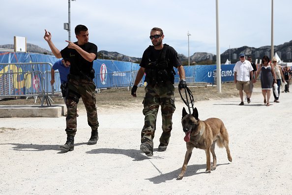 gendarme avec des chiens | Source : Getty Images