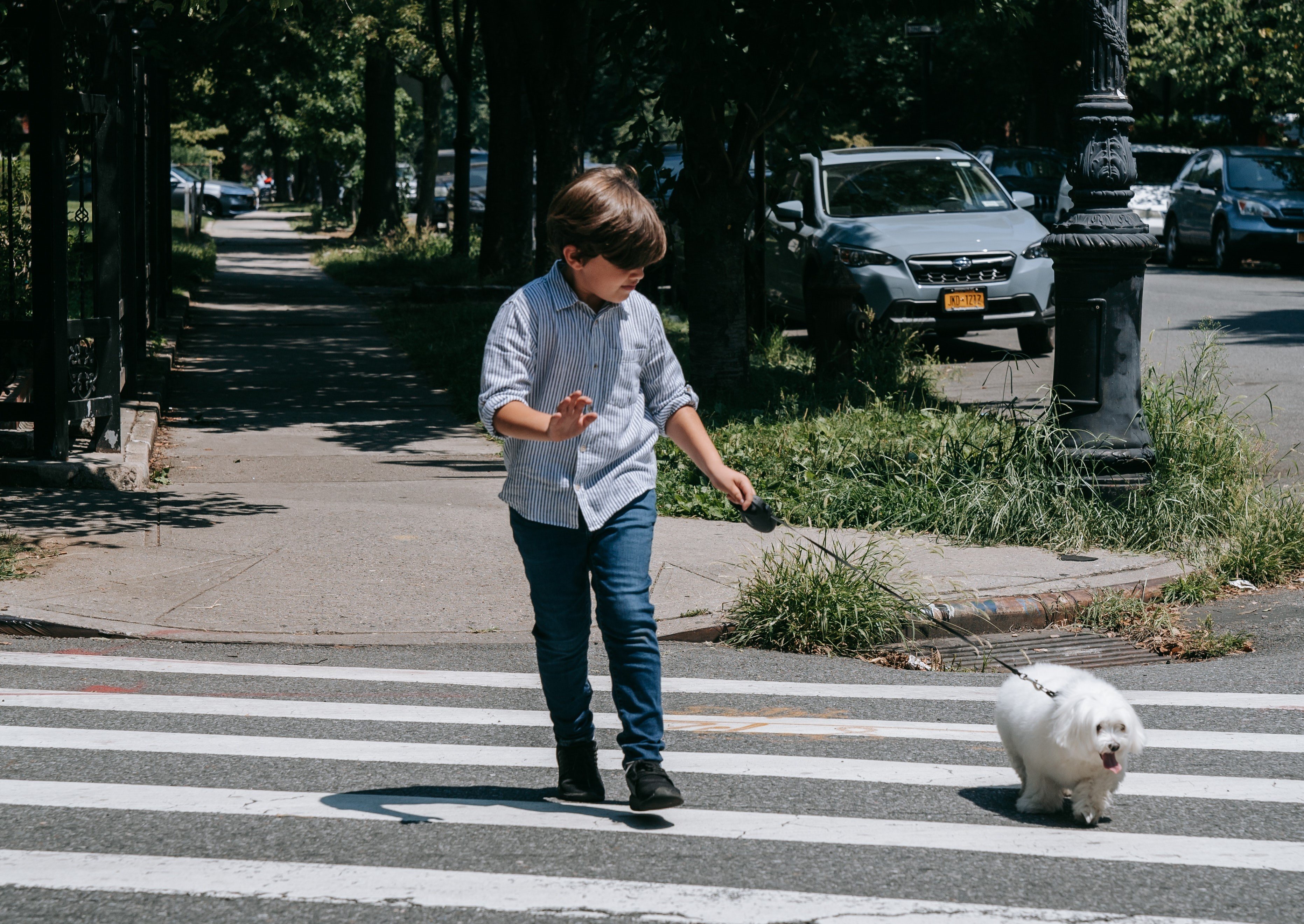 A little boy walking a dog on a leash across the street | Source: Pexels