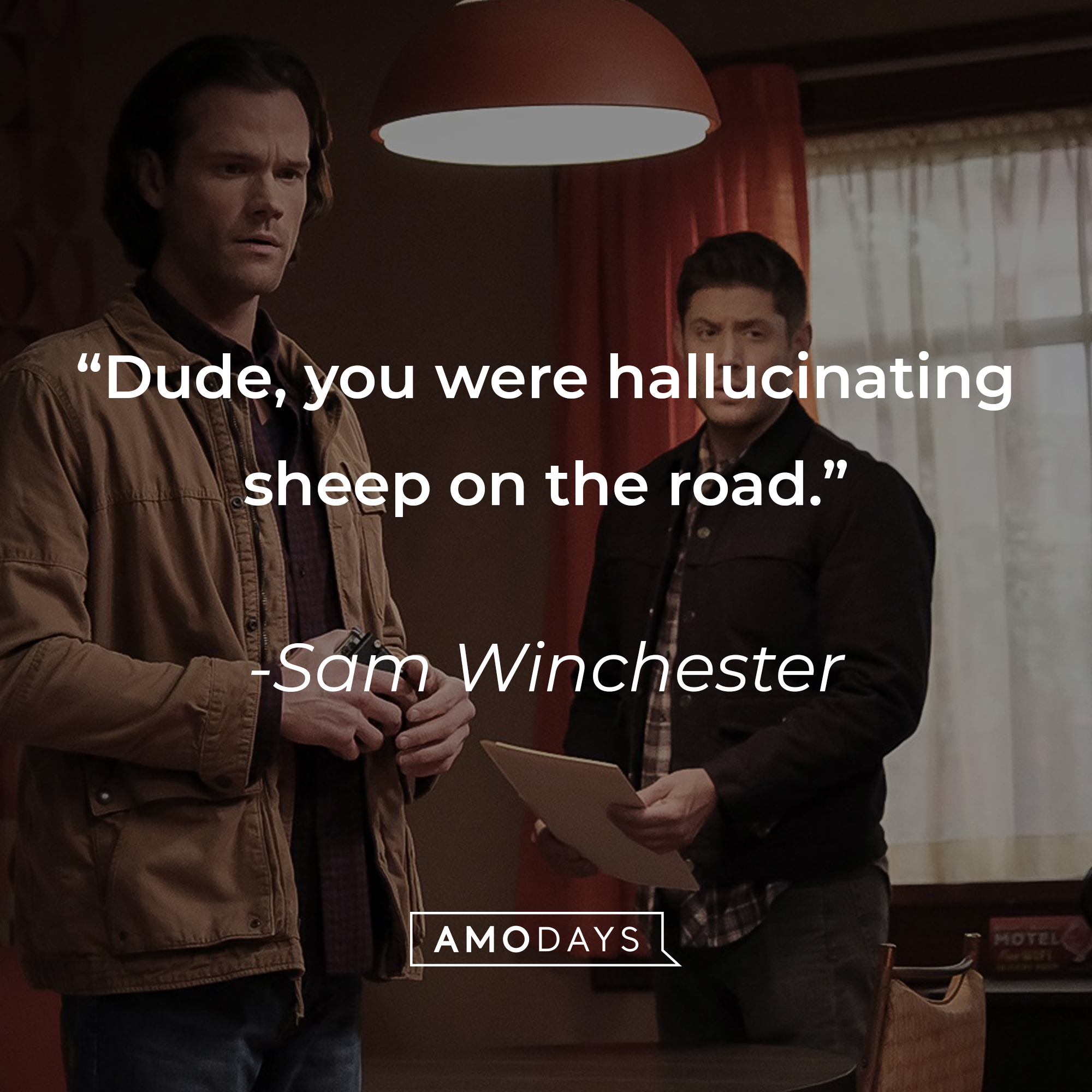 Sam Winchester's quote: "Dude, you were hallucinating sheep on the road." | Source: Facebook.com/Supernatural