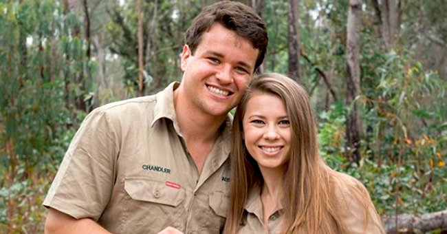 instagram.com/bindisueirwin