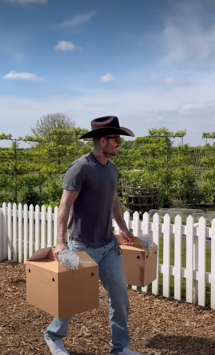 David Beckham walking toward his chicken coop | Source: Instagram/victoriabeckham
