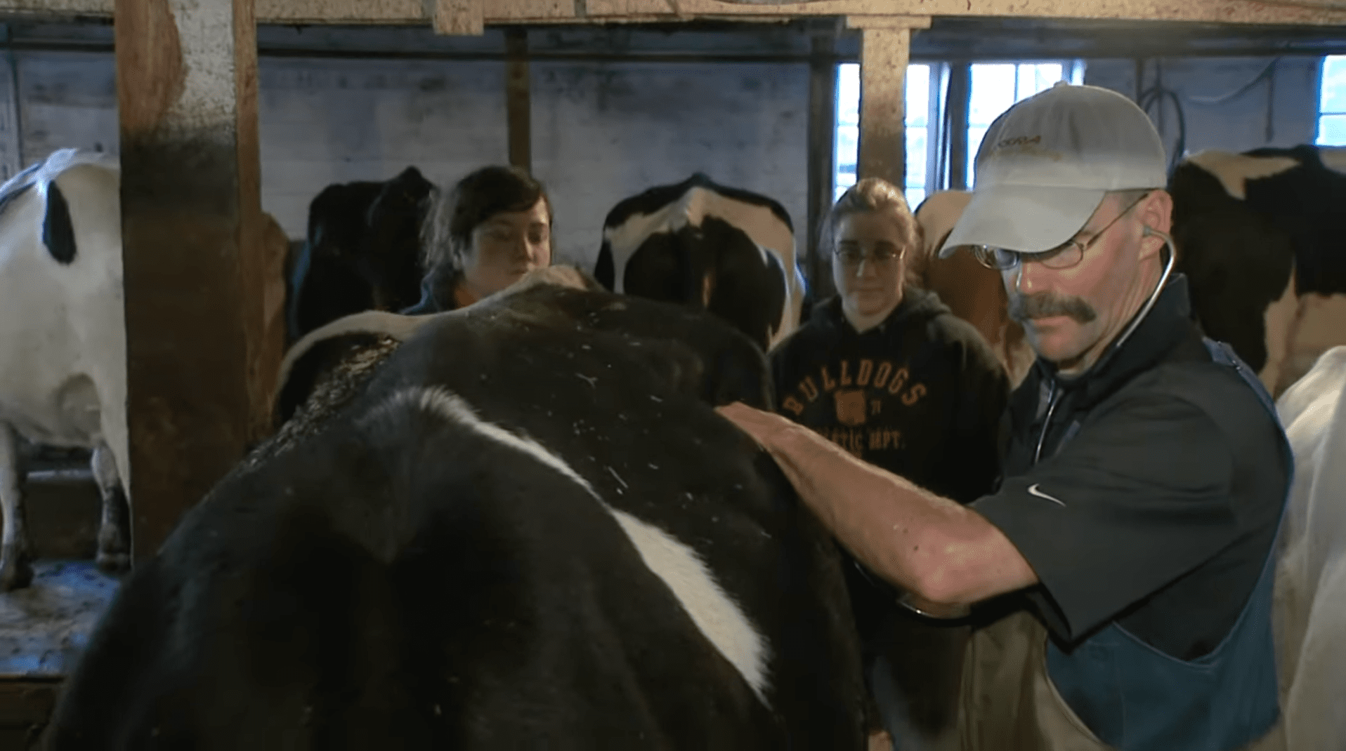 Practitioner Peter Ostrum pictured with his colleagues at a cowshed during an appearance on "Veterinarians on Call"┃Source: YouTube/VeterinariansonCall