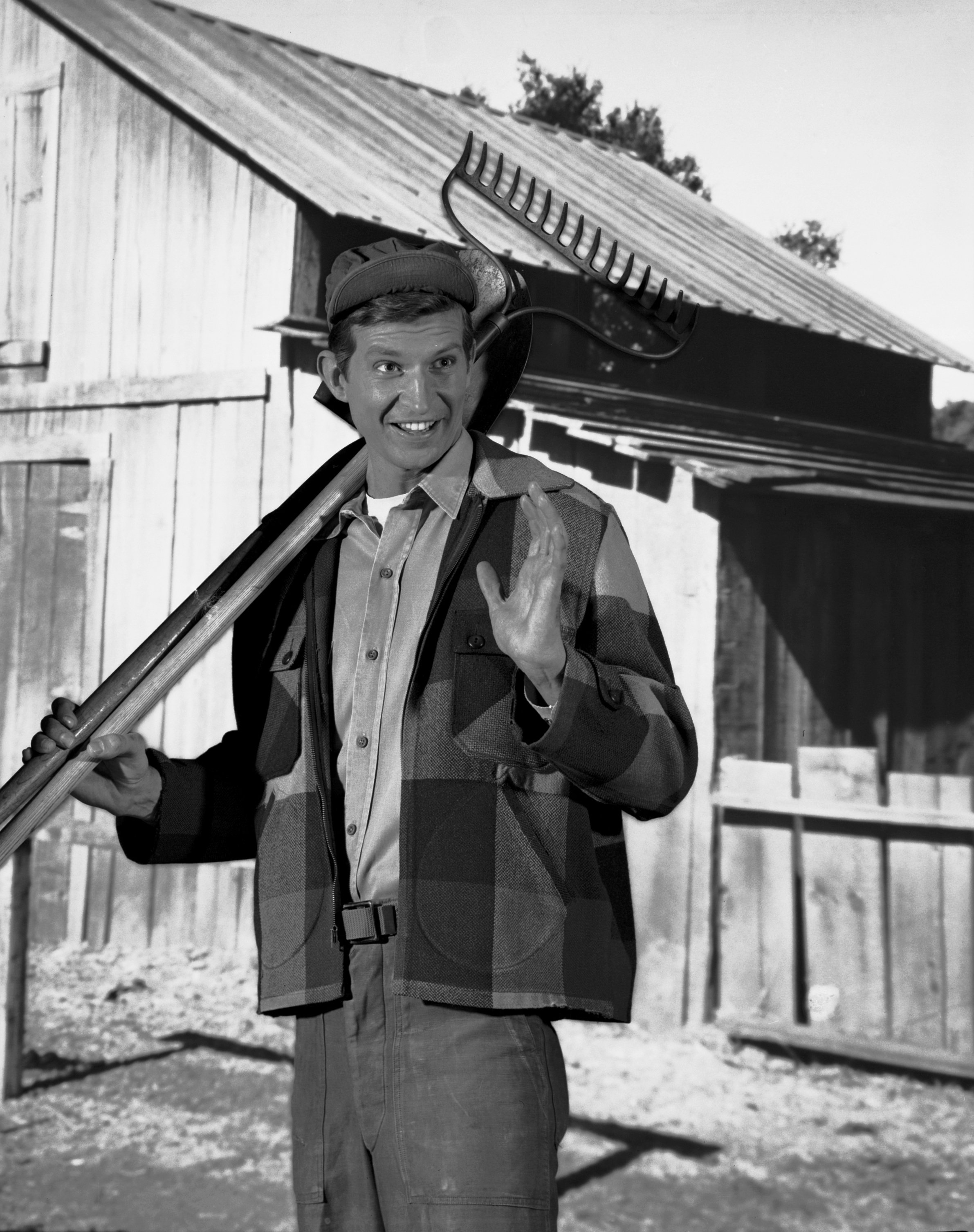 "Green Acres" cast member Tom Lester as Eb Dawson, 1966. | Source: Getty Images