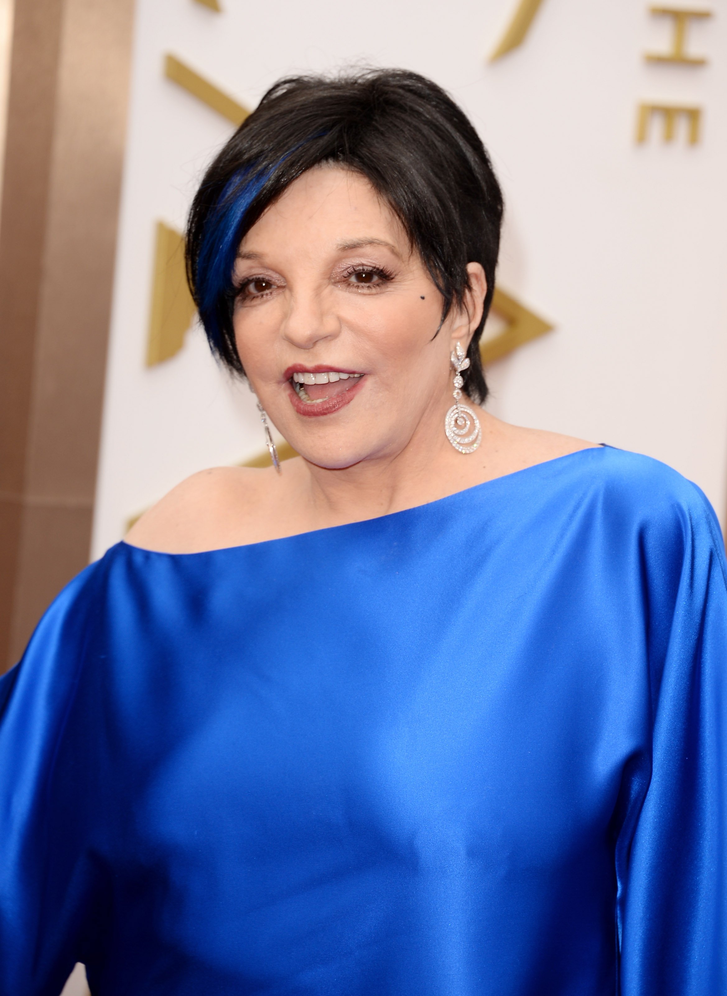 Liza Minnelli besucht die Oscars im Hollywood & Highland Center am 2. März 2014 in Hollywood, Kalifornien. | Quelle: Getty Images