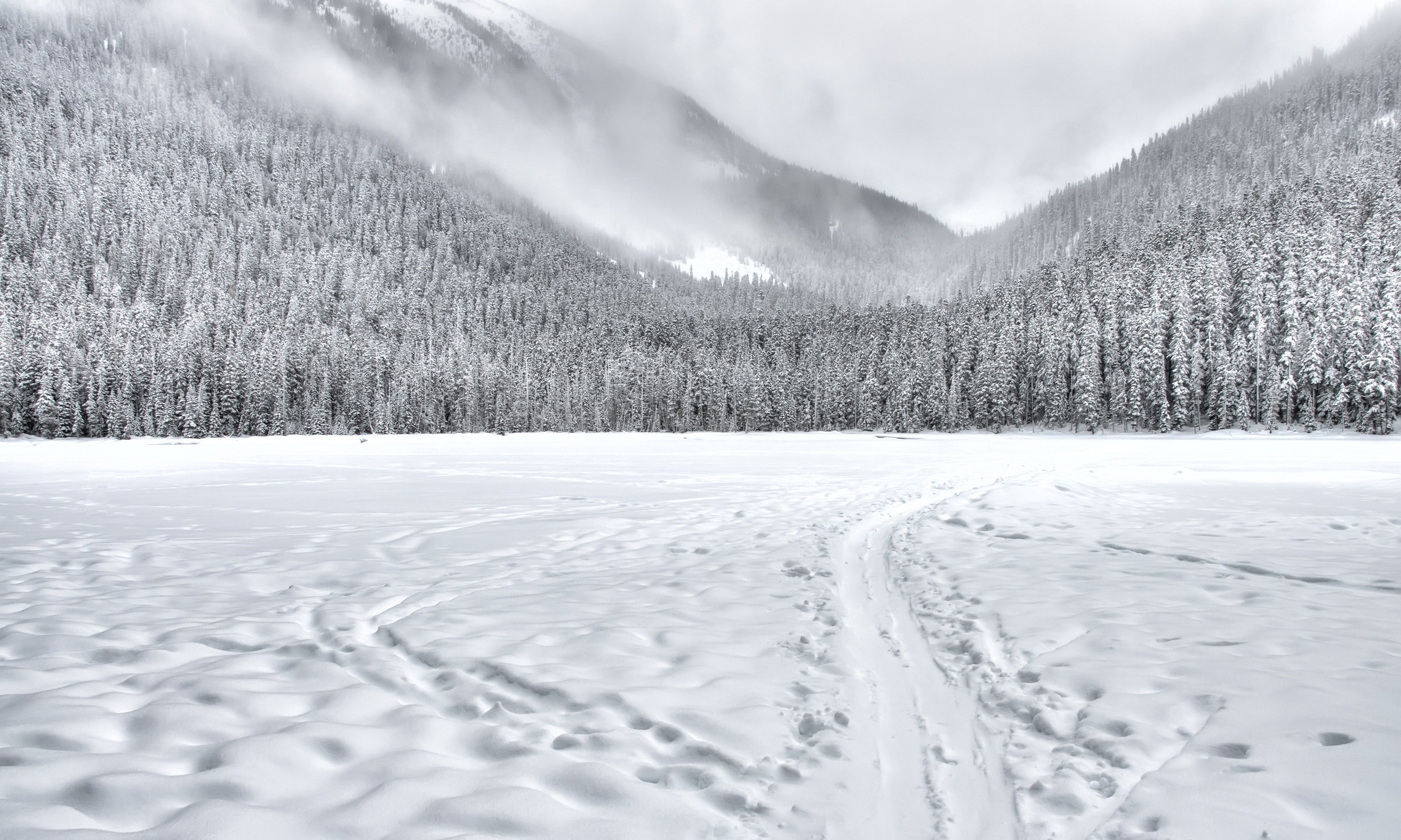A snowy place. | Source: Pexels