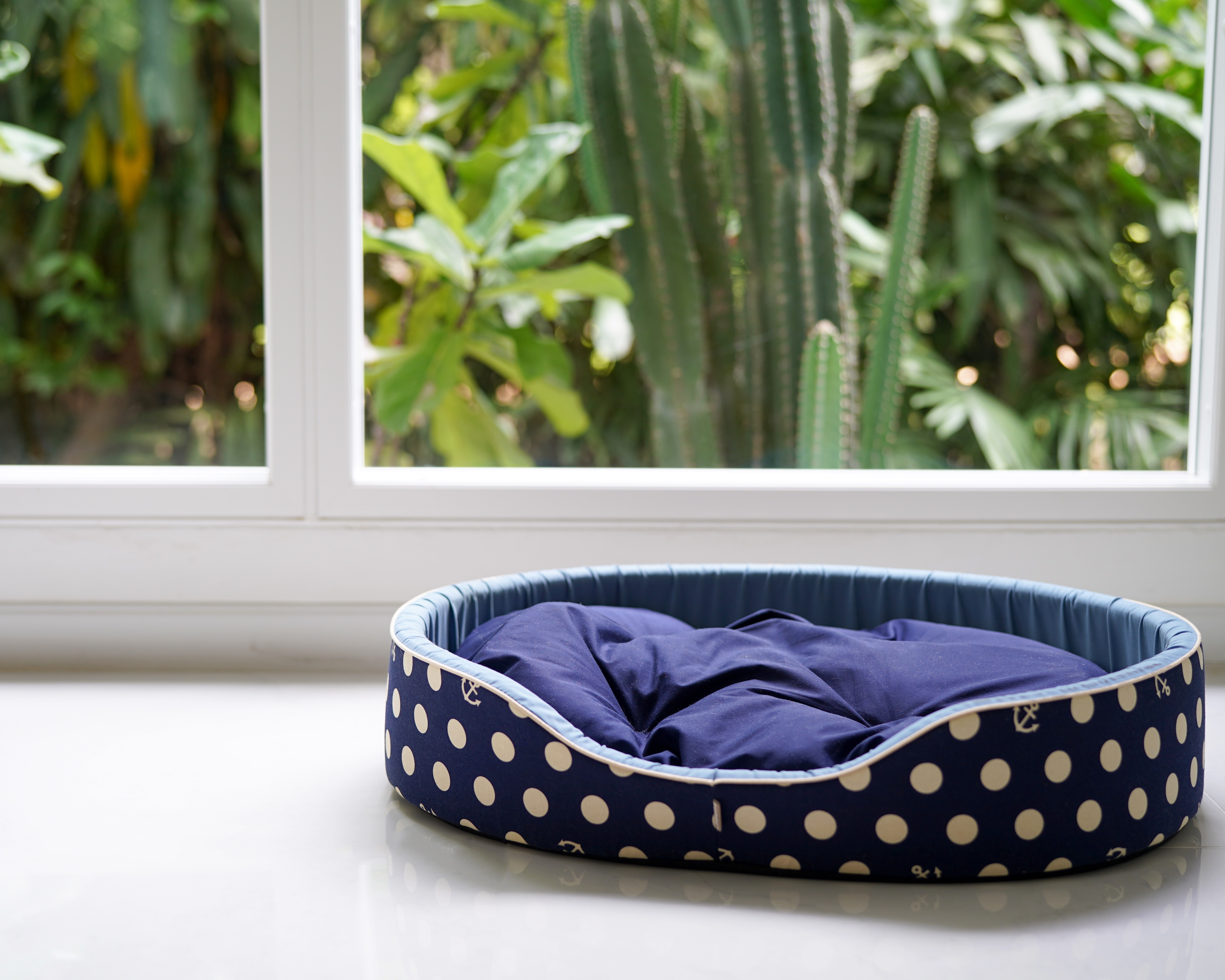 An empty dog bed in a room | Source: Shutterstock