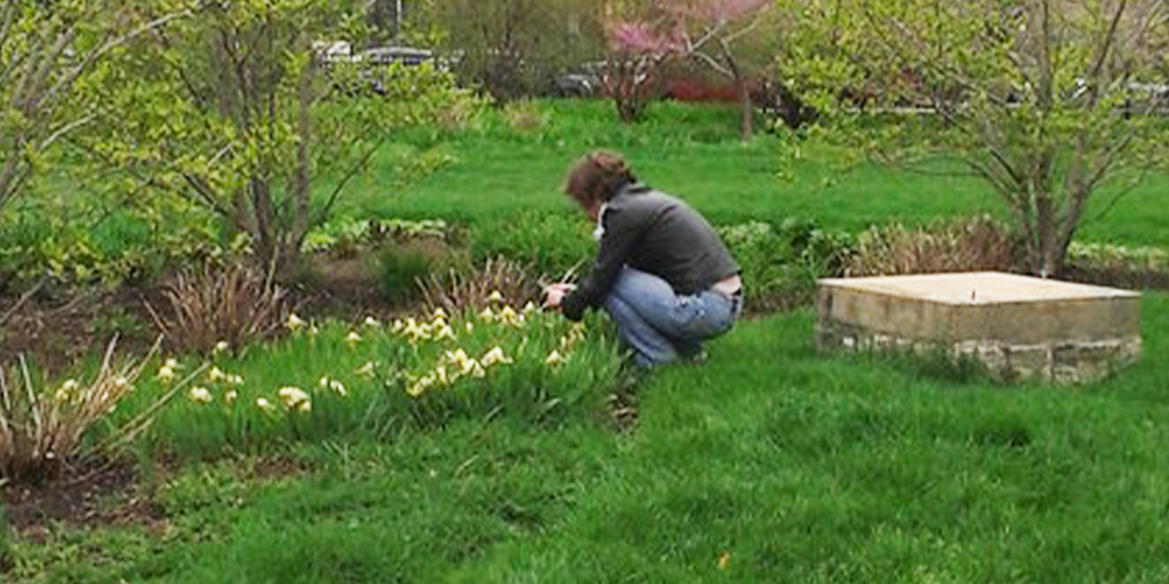 A woman digging in a yard | Source: flickr.com/srboisvert/CC BY 2.0