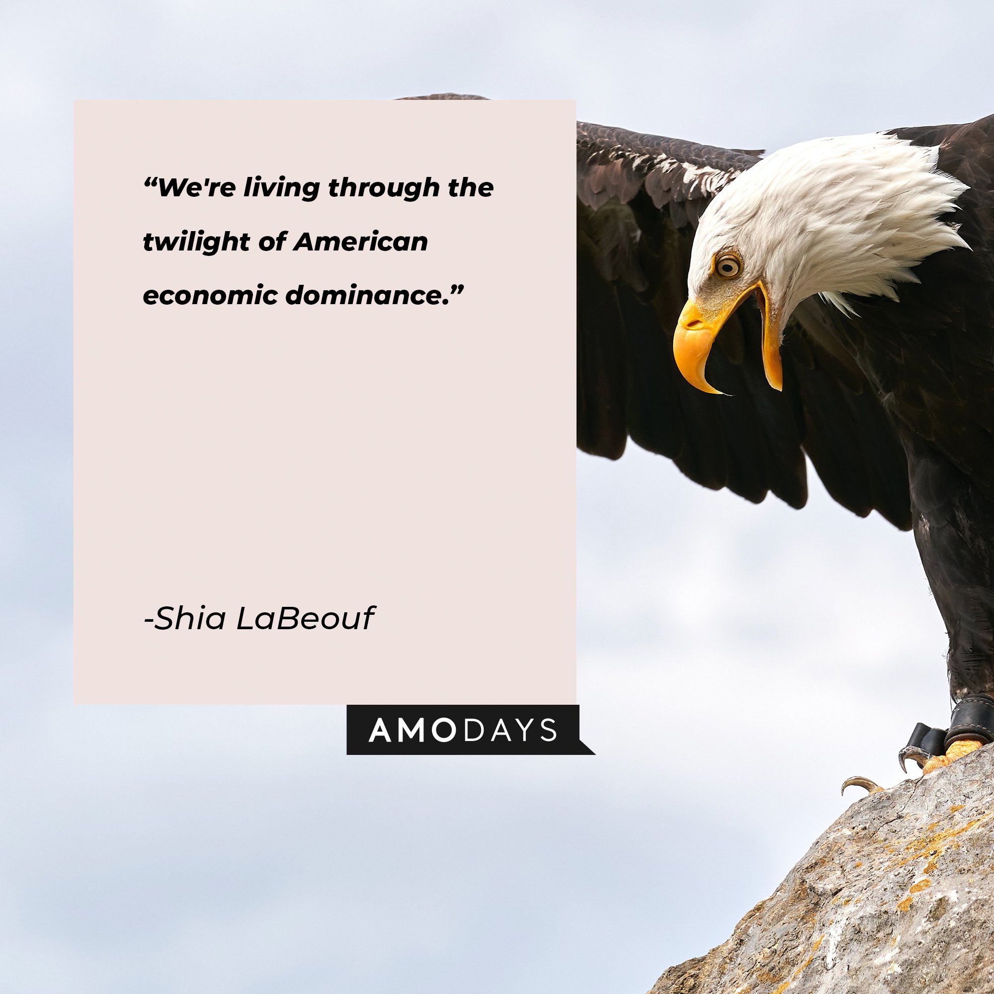 Shia LaBeouf’s quote: “We're living through the twilight of American economic dominance." | Image: AmoDays