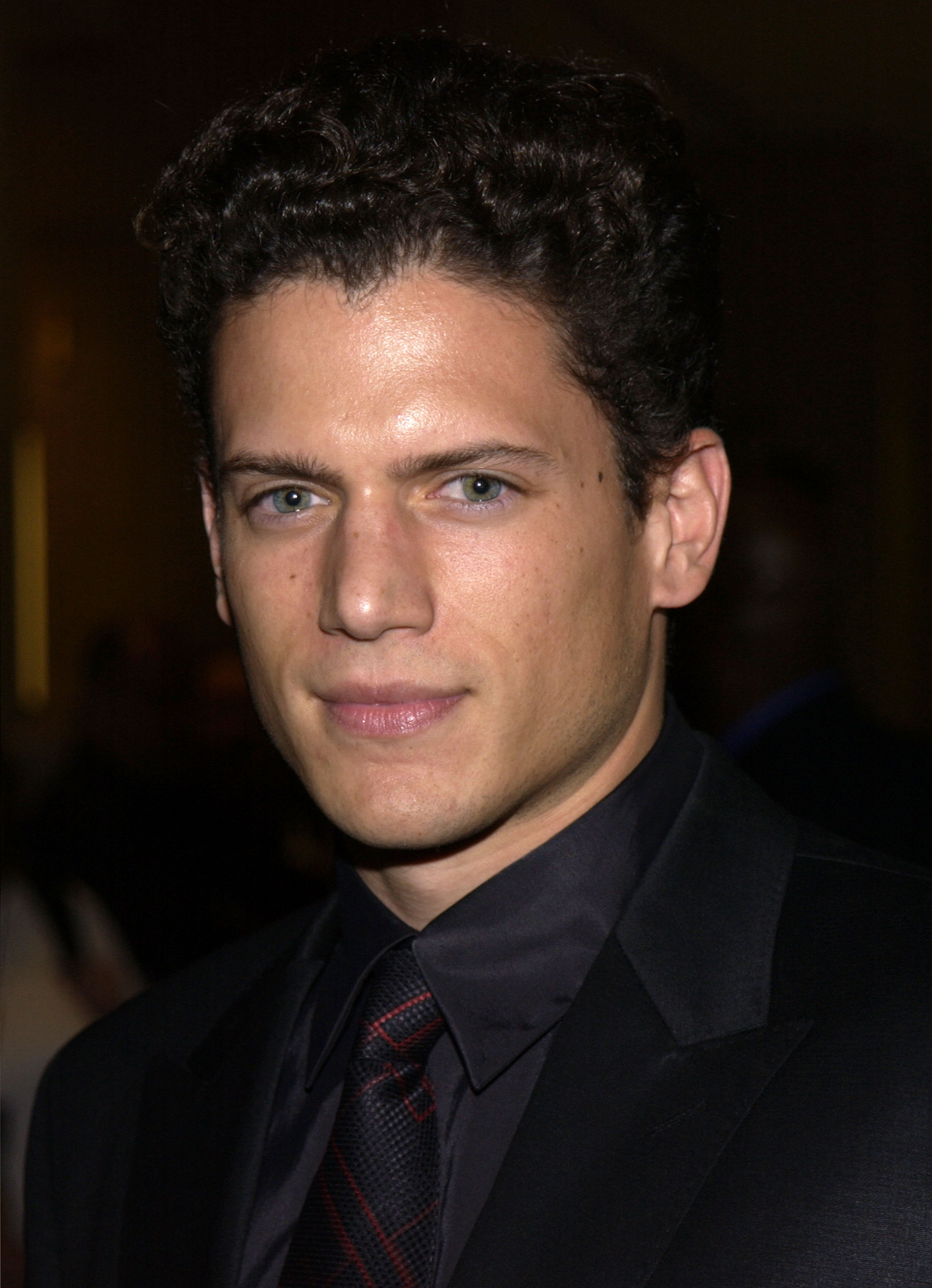 Wentworth Miller during The 4th Annual Family Television Awards on July 31, 2002, in Beverly Hills, California. | Source: Getty Images