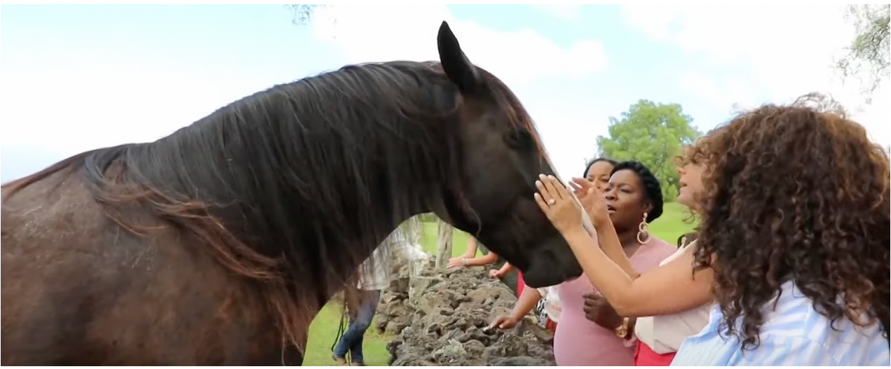 Oprah Winfrey with friends, and one of her horses at her Hawaiian farm | Source: YouTube.com/Access Hollywood