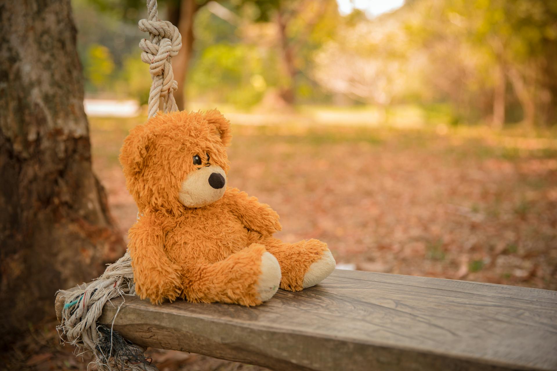 A close-up of a teddy bear on a wooden swing | Source: Pexels