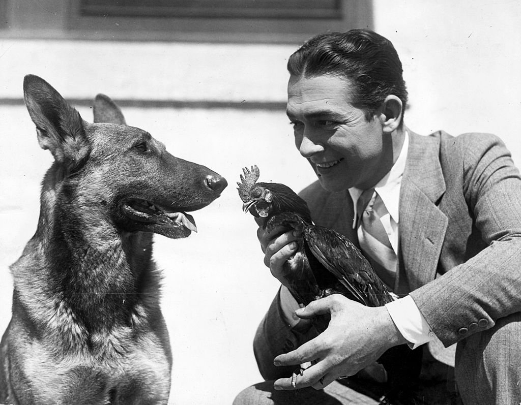 Image Credit: Getty Images Image Credit: Getty Images