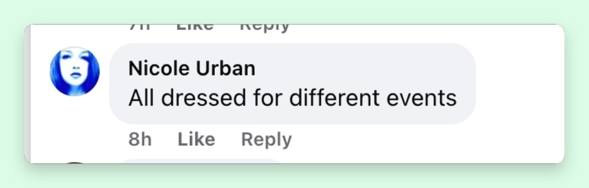 A netizen's comment about Al Pacino and his kids' appearance at the "I Live Here Now" premiere on March 12, 2026 | Source: Facebook/Just Jared