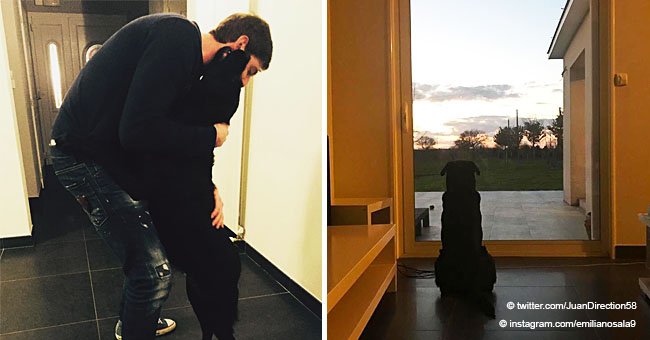 La sœur d'Emiliano Sala donne des nouvelles de Nala, le chien bien-aimé de son frère