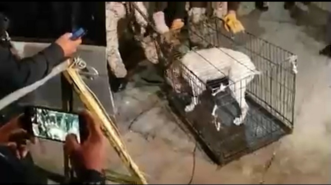 Rescate de perro.| Imagen tomada de: Twitter/SSP_CDMX Rescate de perro.| Imagen tomada de: Twitter/SSP_CDMX