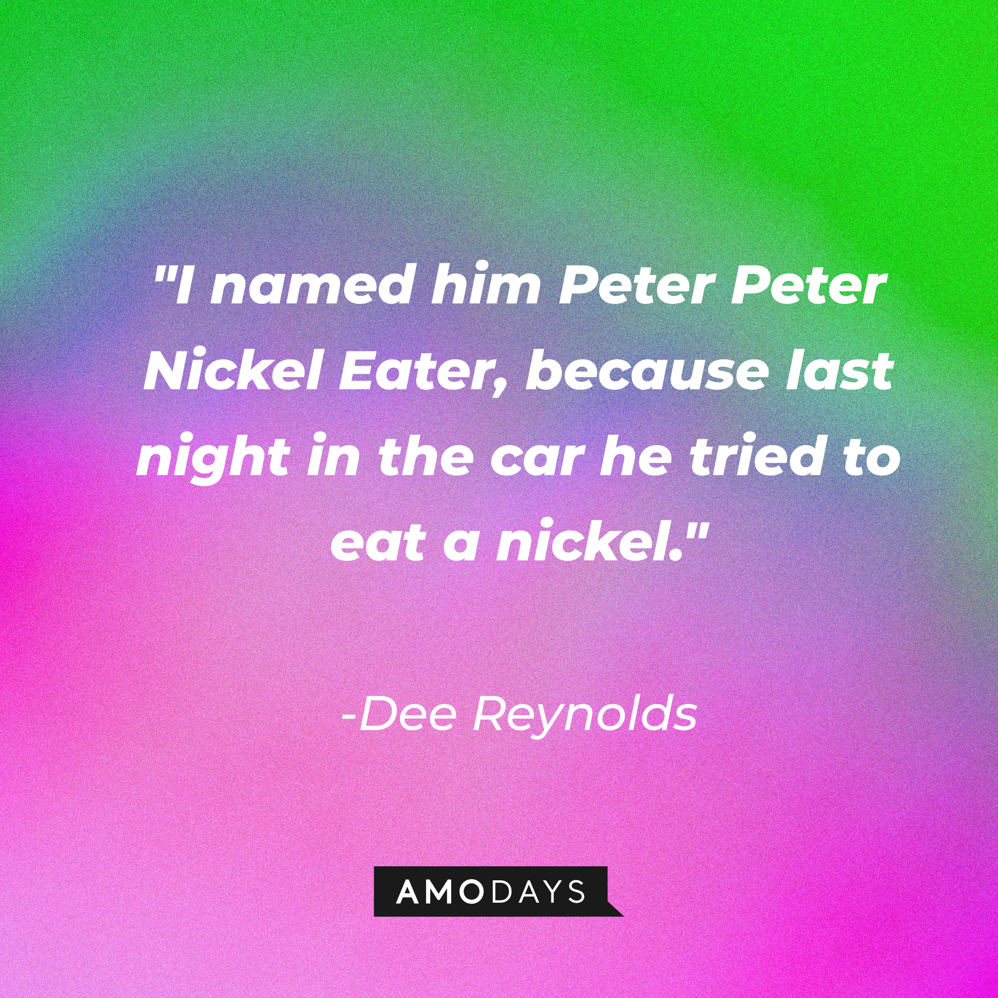 A photo with the quote, "I named him Peter Peter Nickel Eater, because last night in the car he tried to eat a nickel." | Source: Amodays