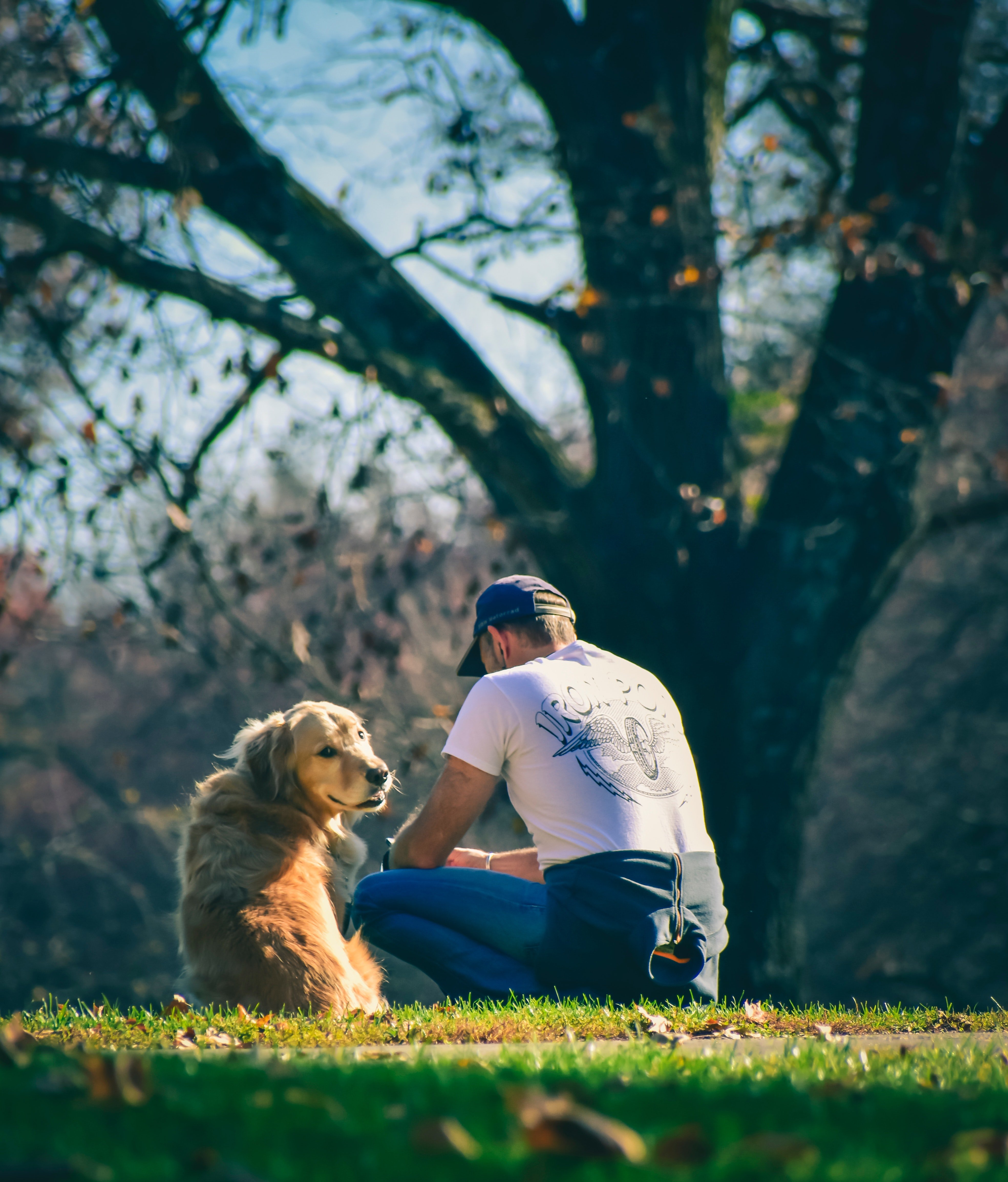 Joshua was proud of Buzz for his bravery and loyalty. | Source: Pexels