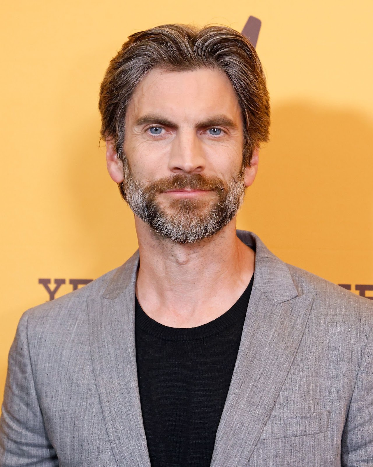 Wes Bentley at the "Yellowstone" season 5 part 2 premiere on November 7, 2024 in New York. | Source: Getty Images