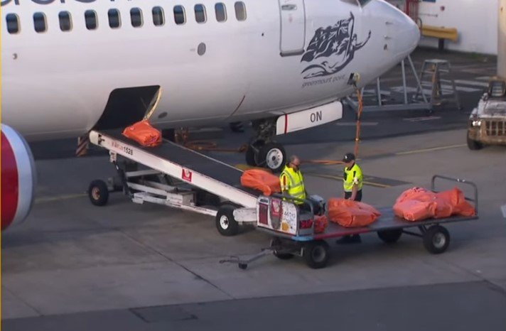 Luggages getting loaded onto airplanes | Source: Youtube/TODAY