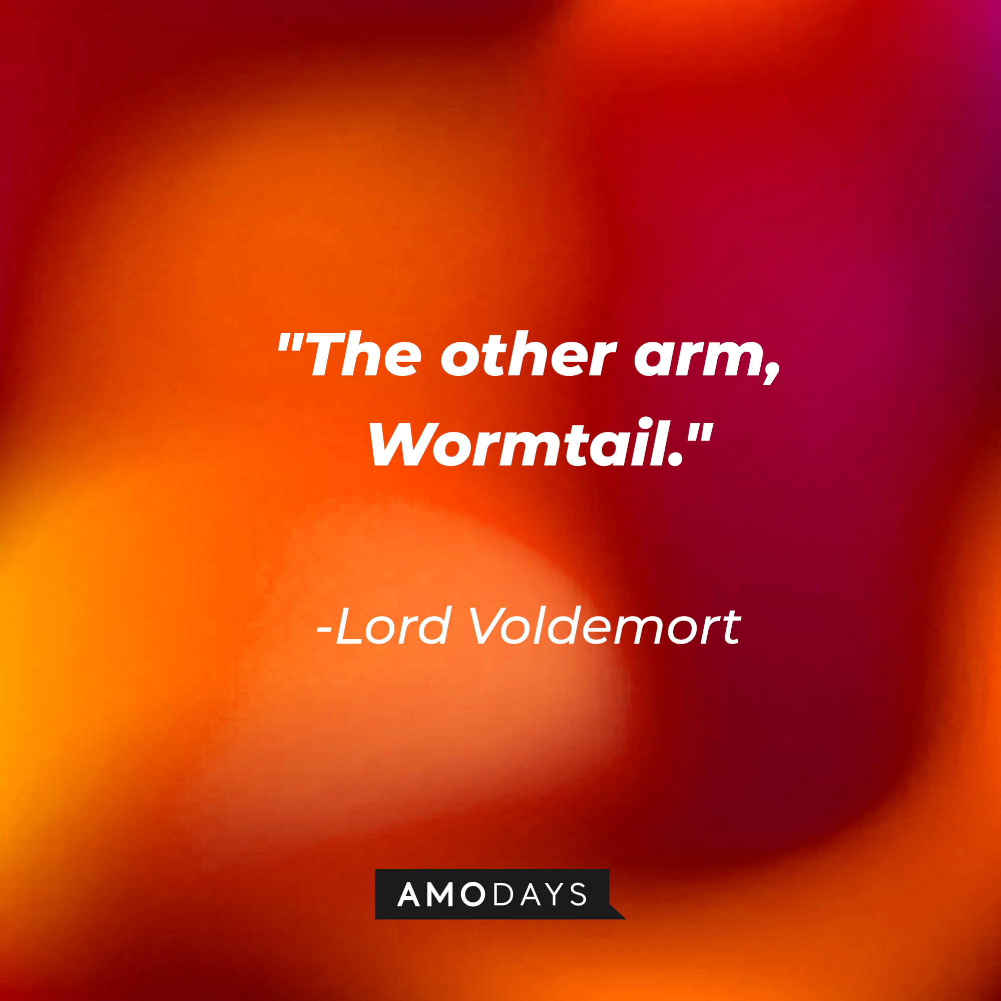 Lord Voldemort's quote: "The other arm, Wormtail." | Image: Amodays