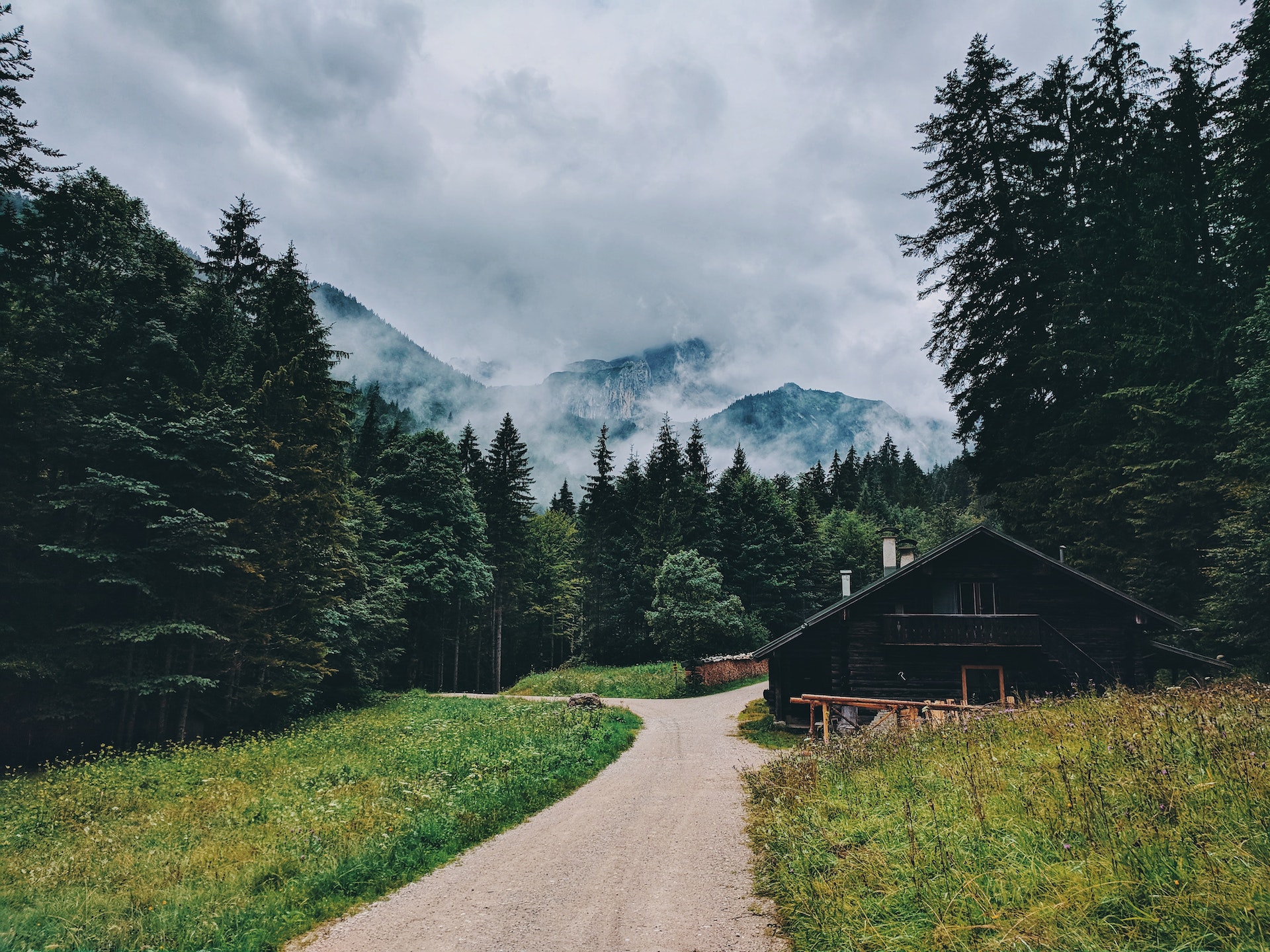 A house in the woods | Source: Pexels