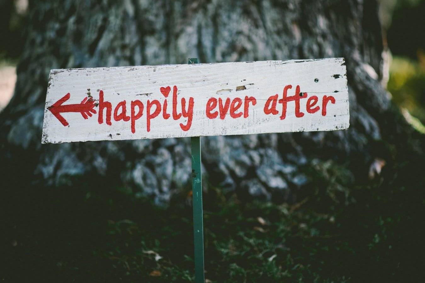 Happily ever after | Source: Unsplash