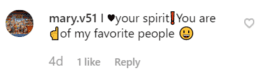 Fan's comment on  Lauryn “Pumpkin” Shannon's post. | Source: Instagram/pumpkin