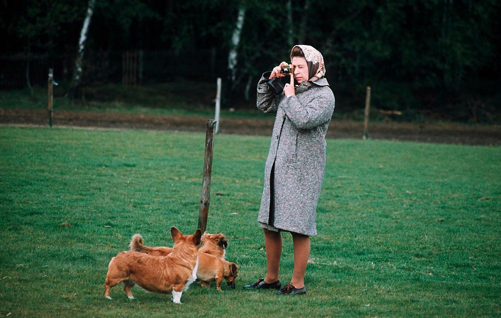 Königin Elizabeth II. beim Fotografieren ihrer Corgis im Windsor Park im Jahr 1960 in Windsor, England | Quelle: Anwar Hussein/Getty Images